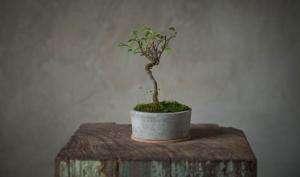 深圳办公室米兰（中国）and泥水施工工艺米兰（中国）