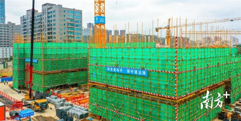 1618820915966013681.jpg 2.jpg